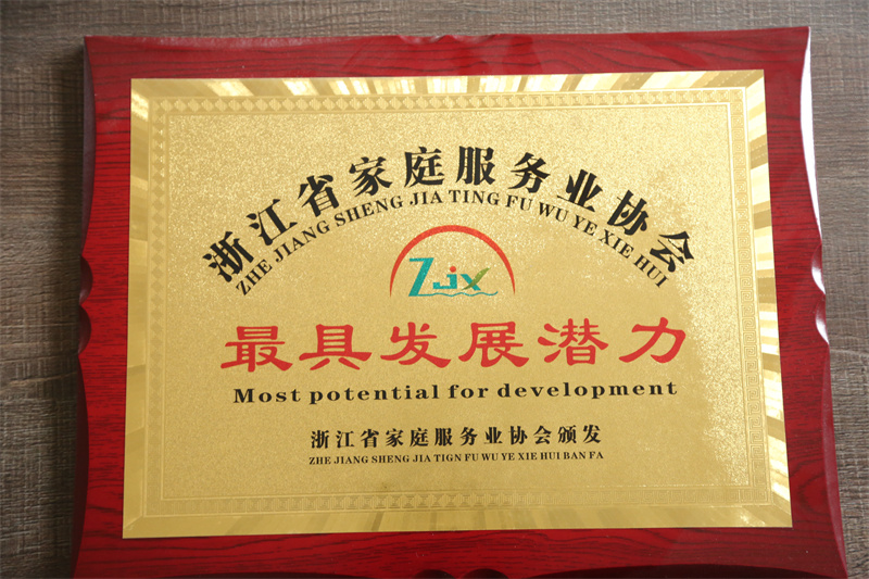 浙江省家庭服務業(yè)協(xié)會最具發(fā)展?jié)摿?> 
              </div>
              <div   id=